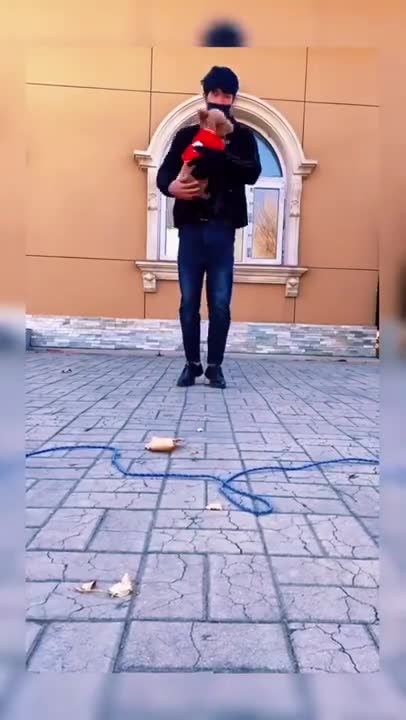 Baby Dog - rope jumping