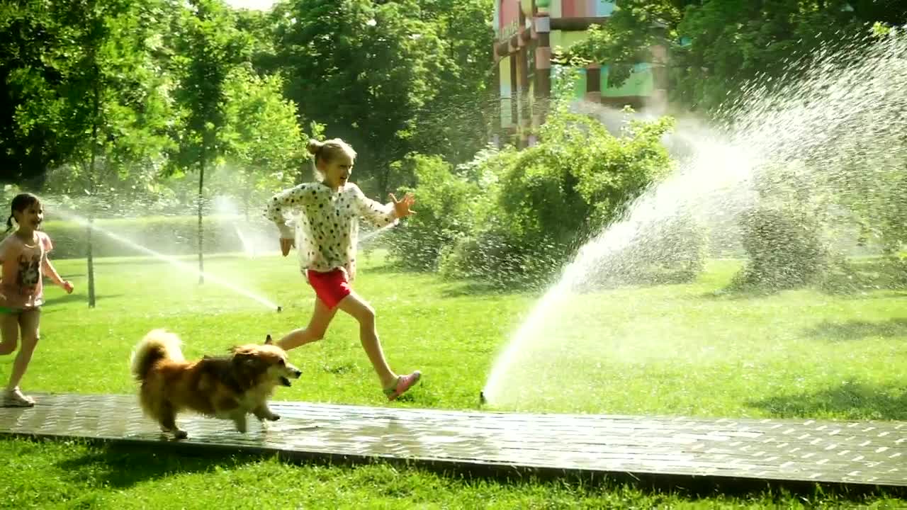 Playing with dog in the park