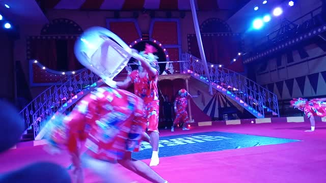 Making Fun In A Circus