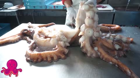 Incredible Giant Octopus Fishing - How Japan Chef Cutting Giant Octopus And Octopus Processing