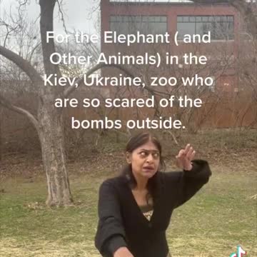 How to communicate with the escaped elephants in Ukraine