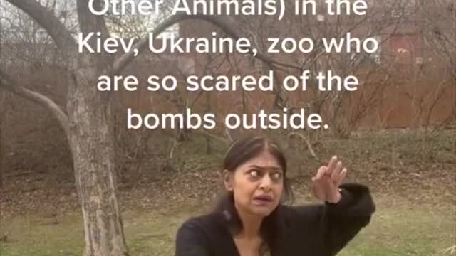 How to communicate with the escaped elephants in Ukraine