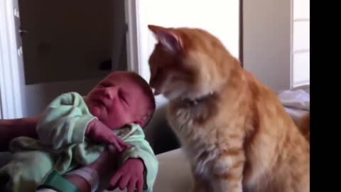 cute animals playing with babies