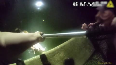 An elderly, blind, and deaf dog fell into a canal but was swiftly rescued by Clearwater officer