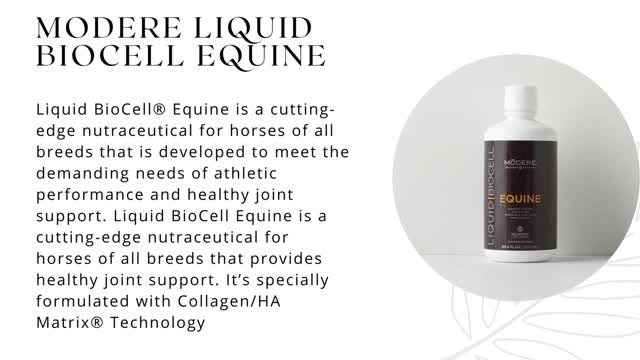 Liquid Biocell Sport - Bio Cell Guide