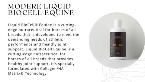 Liquid Biocell Sport - Bio Cell Guide