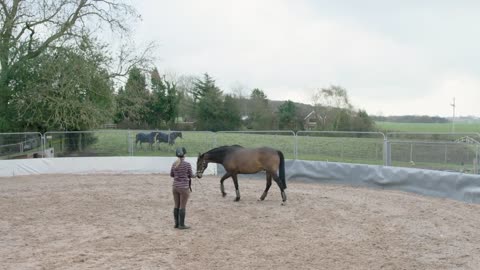 I learnt horse riding in 3 days