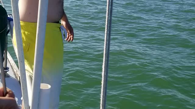 Jump In!