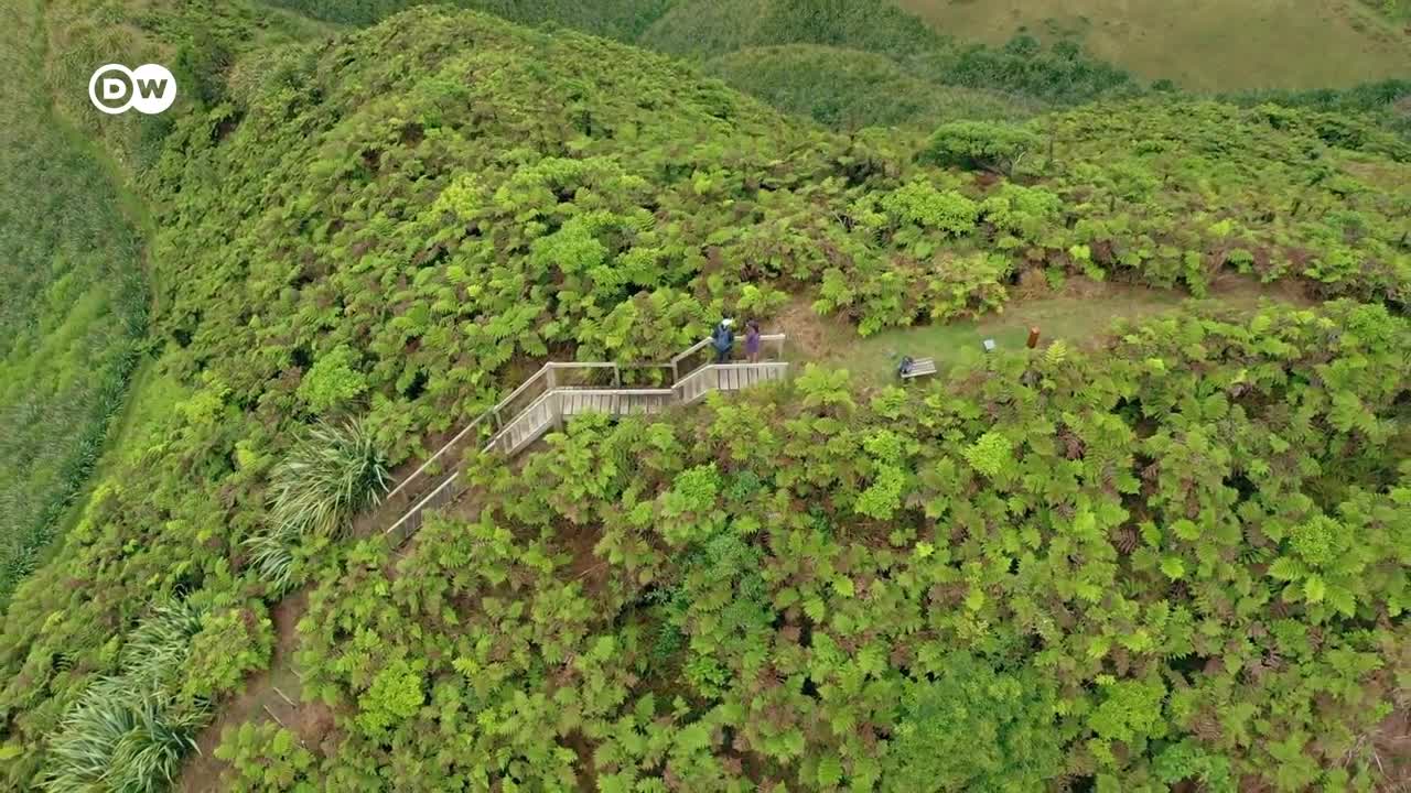 Saint Helena: Breathtaking nature in one of the most remote places on earth