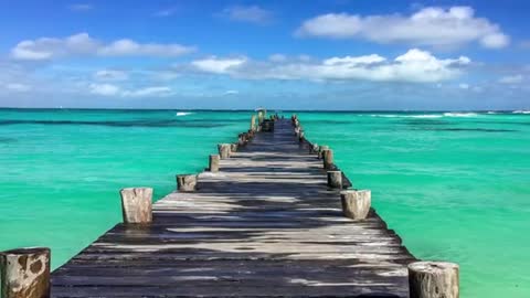 Relaxing Music | Sleeping, Meditation, Stress Relief | [1701] ⭐️