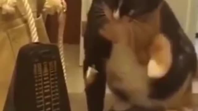 Try not to laugh 😂😂