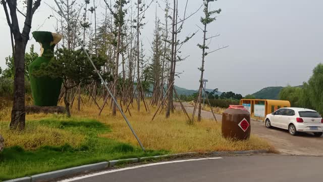 The rows of trees stand straight