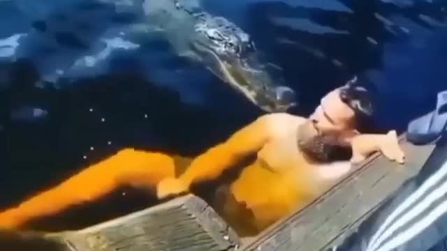 Rule no:1 don't swim with crocodile 🐊