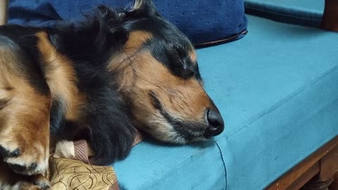 我在睡覺