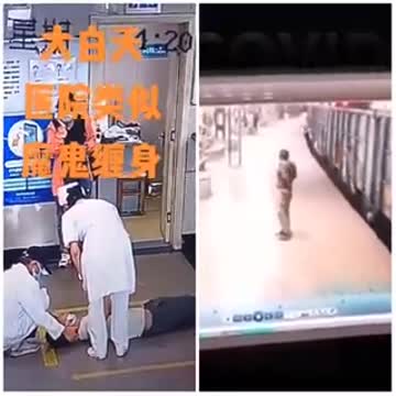 MALORE IMPROVVISO: entrambi iniziano a girare in tondo due giri e poi crollano a terra!