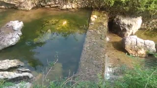 The water in the pond is real