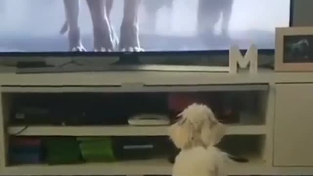 Fearful puppy runs away from the hyena of the Lion King movie