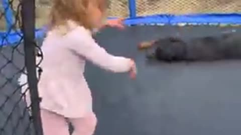 Watch: Toddler Jumps On Trampoline With Best Friend - An Excited Rottweiler