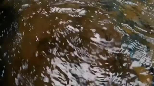 waterfall water
