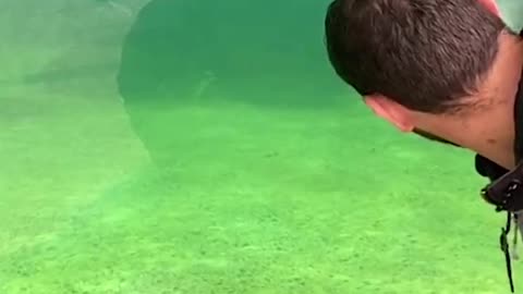 👀 😂
