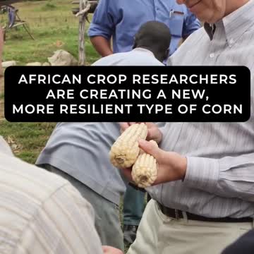 I don't know what I've just watched here but you have to watch it too, sorry.