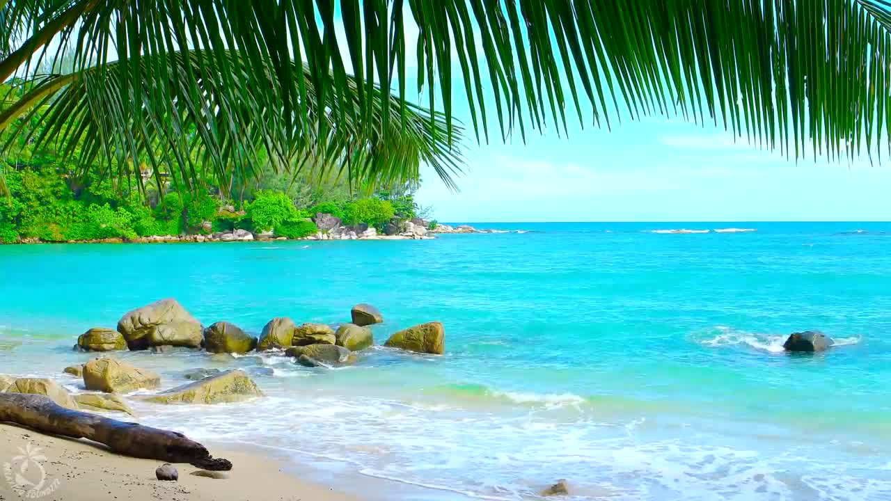 relaxing beach sleep