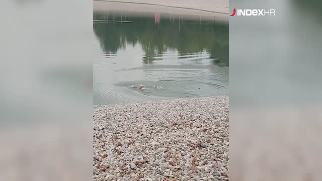 Hrabri skok u hladni Bundek