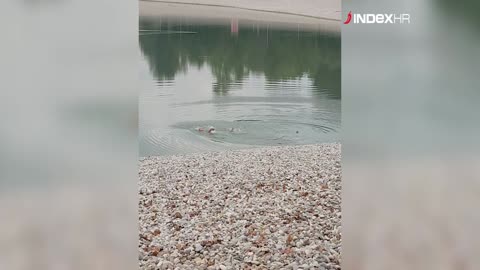 Hrabri skok u hladni Bundek