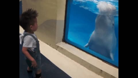 Gif video of unwanted visit