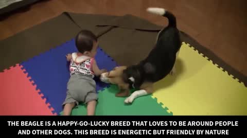 https://youtu.be/J8XpQFquSY8