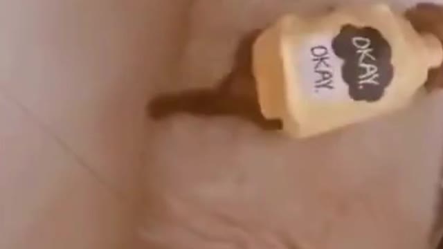 Funny puppy treats the sleeping dog as its bed