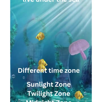 Under the water animals