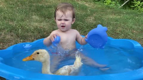 Funny Baby Reaction to Duckling in the Pool