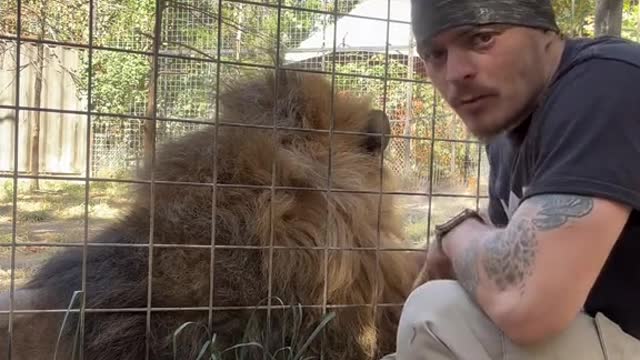 How much do I really trust Nahkato #trust #nahkato #wolf #dadsboy #britishcolumbian #gentle