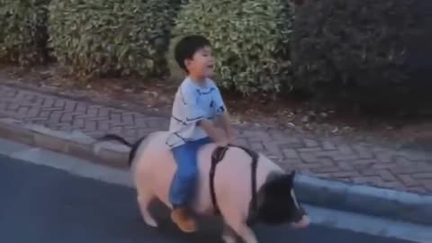 child and pet pig