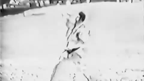 World Hapkido Federation