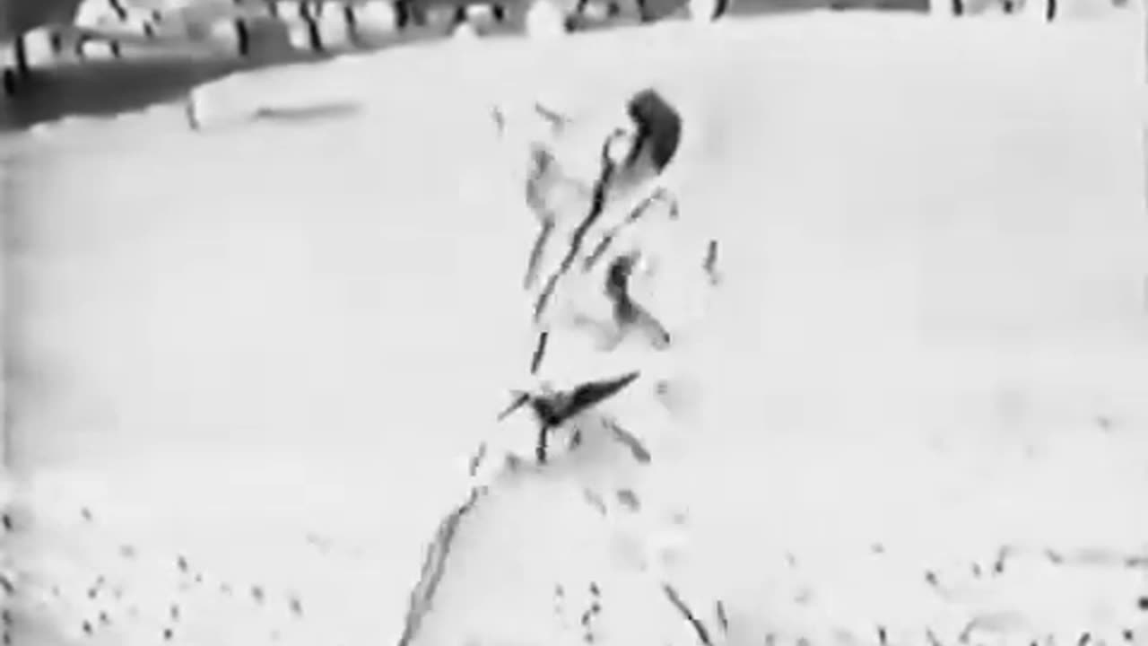 World Hapkido Federation