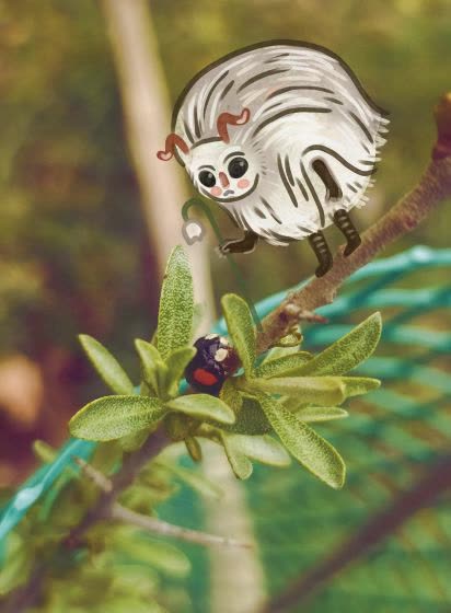 Drawing gnome on my photo 🐞🧚