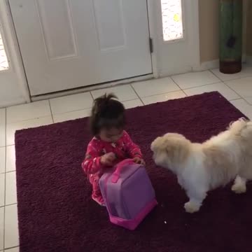 Dog don't want little girl go to school