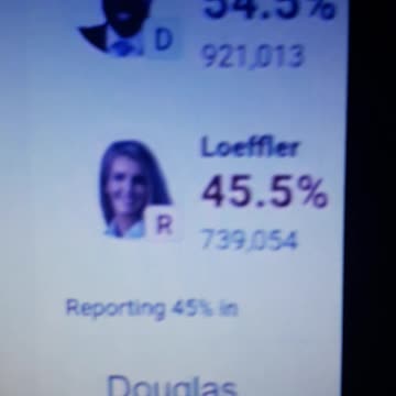 INTERNATIONAL WIDE ELECTION FRAUD VOTING MACHINE CRIME, GEORGIA RUNOFF SHAM ELECTION CRIME 8