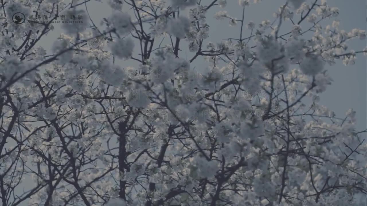 #睚鲁有约 #空中活力排 #睚鲁 主持，嘉宾： #文一 #朱丽叶 #艳敏 #Eva龙腾 #属灵生命 #品格建造 2023-11-20