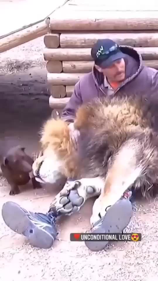 Unconditional love, salute this person