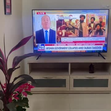 Jim Hamson brutally destroyed Biden