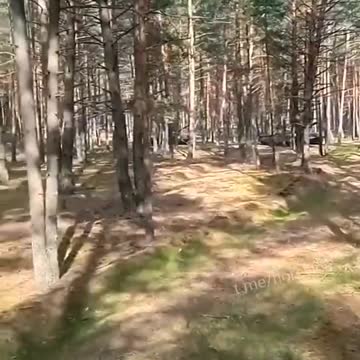 Polish T-72s in Ukraine