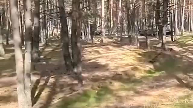 Polish T-72s in Ukraine