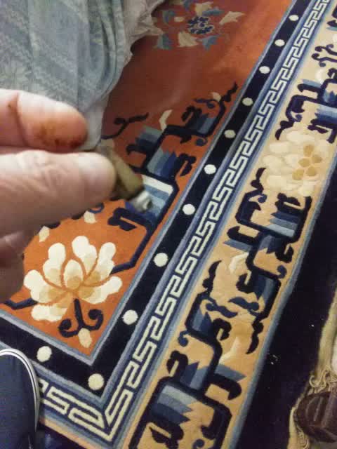 Too Drive to High Merry Christmas with Bart Fine