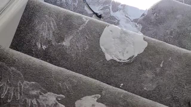 Siblings Make Mess While Trying to Help Dad Paint