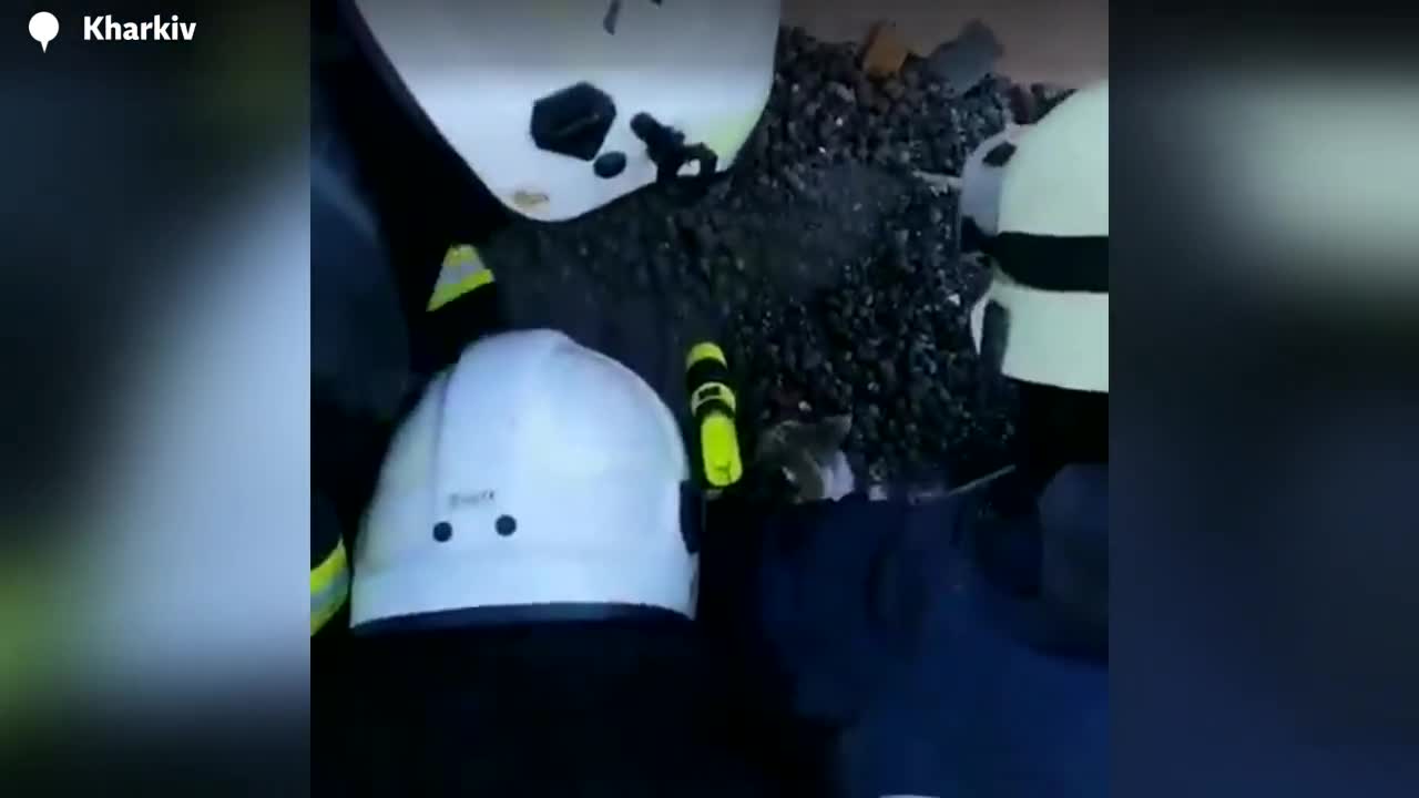 Ukrainian rescue team save kitten from rubble of building