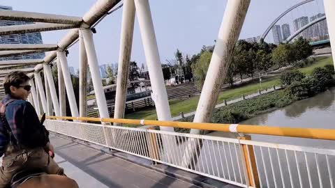 Horse riding in the park