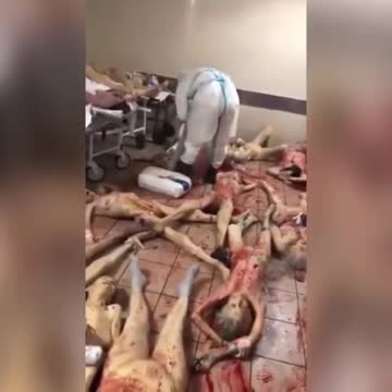 People murdered for their organs using Covid as a cause of death